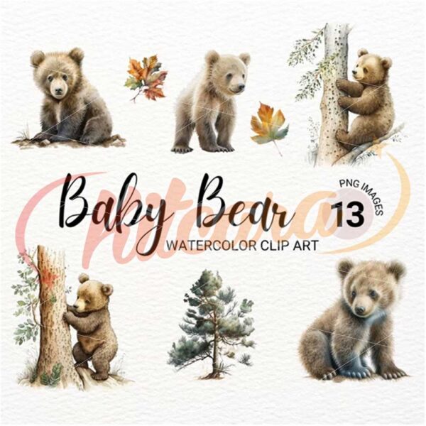 baby-bear-watercolor-clipart-png